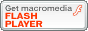 FlashPlayer_E[hy[W